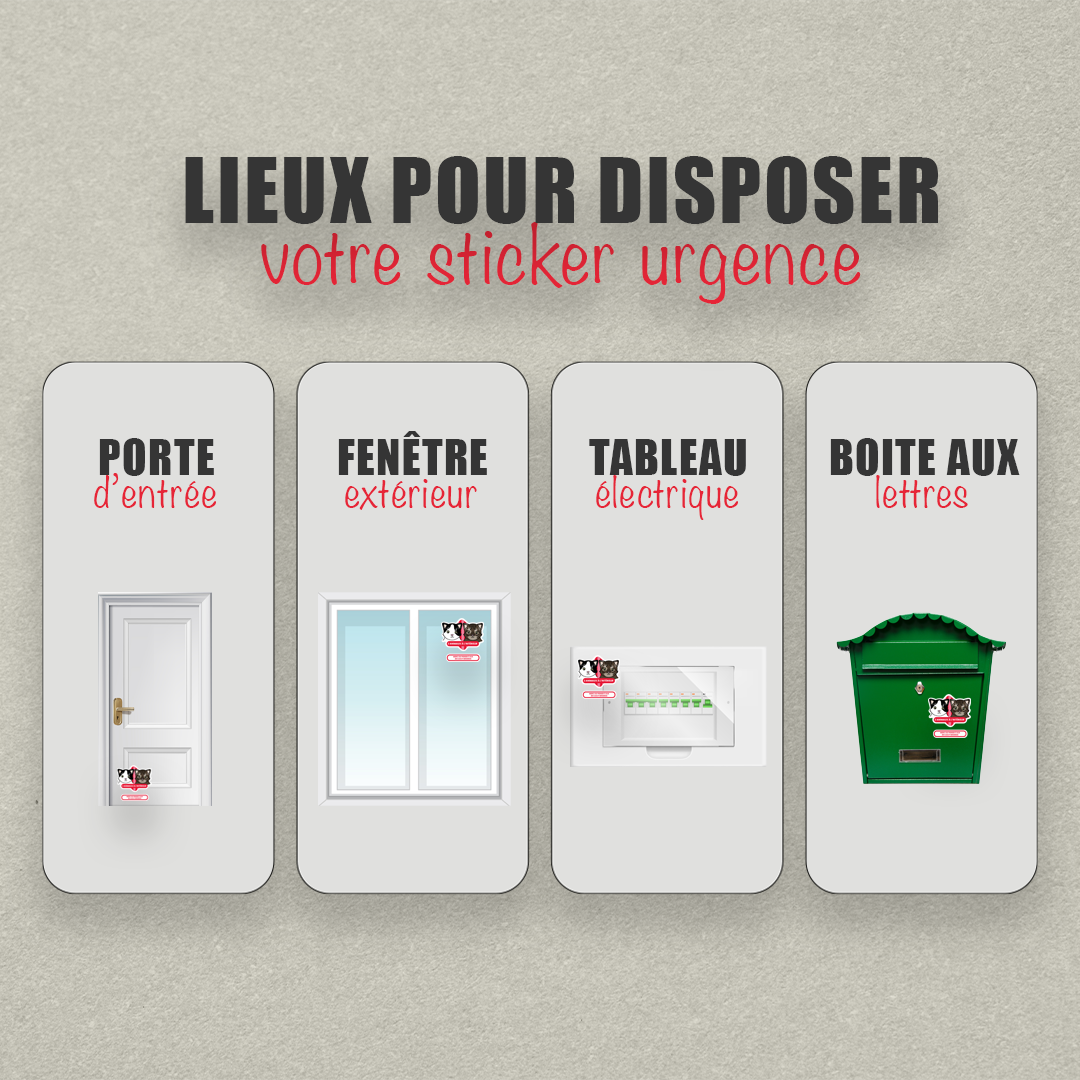 Sticker urgence animal personnalisé – Carte Portefeuille - Illustration Cute/Kawaï sur mesure